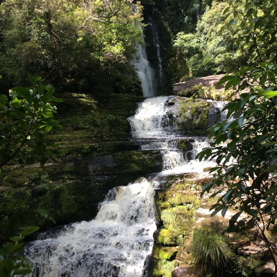 Catlins Retreat B & B Owaka Bagian luar foto