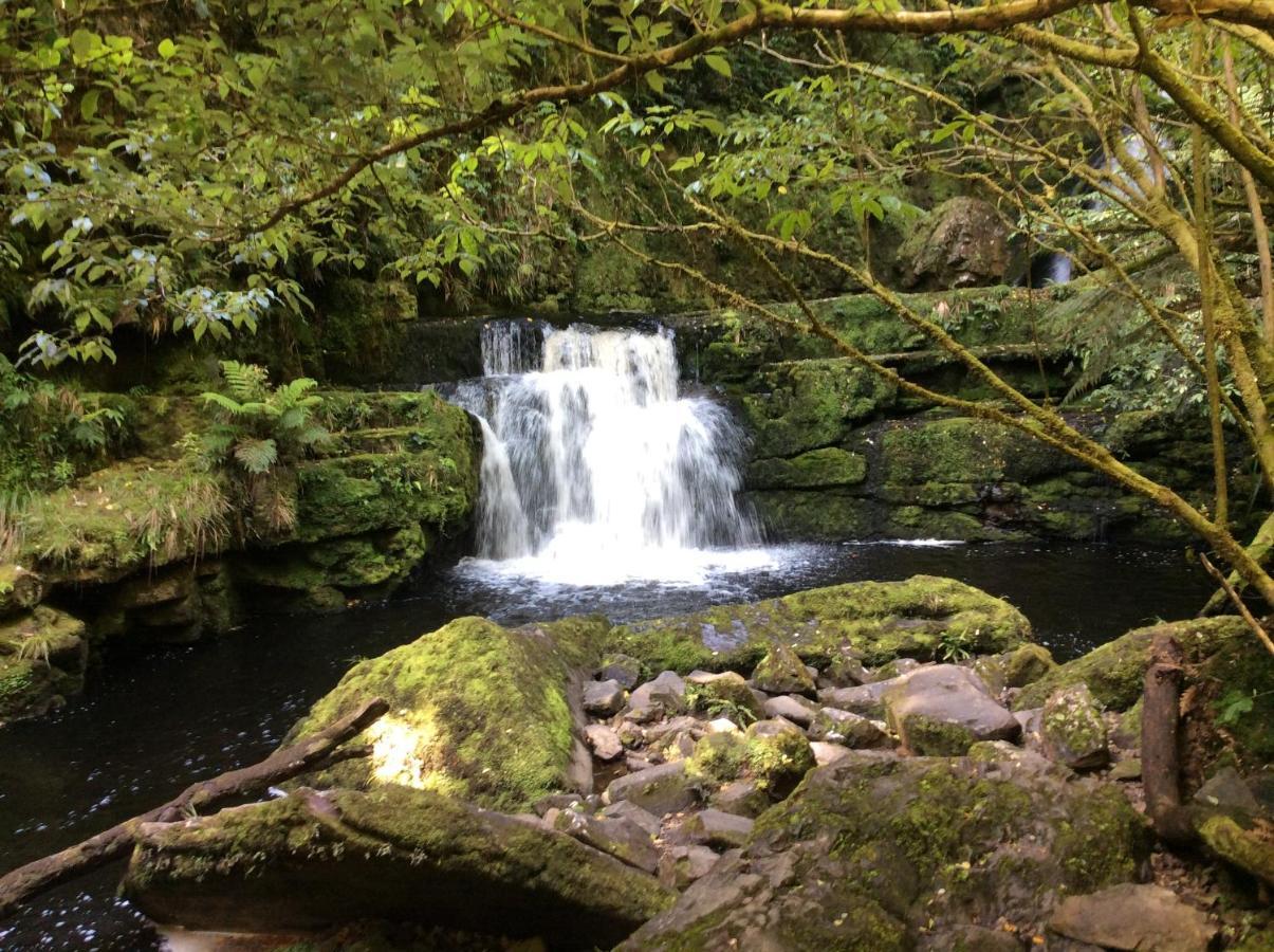 Catlins Retreat B & B Owaka Bagian luar foto